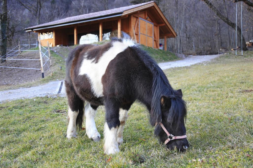 Agritur La Polentera Guest House Storo Екстериор снимка